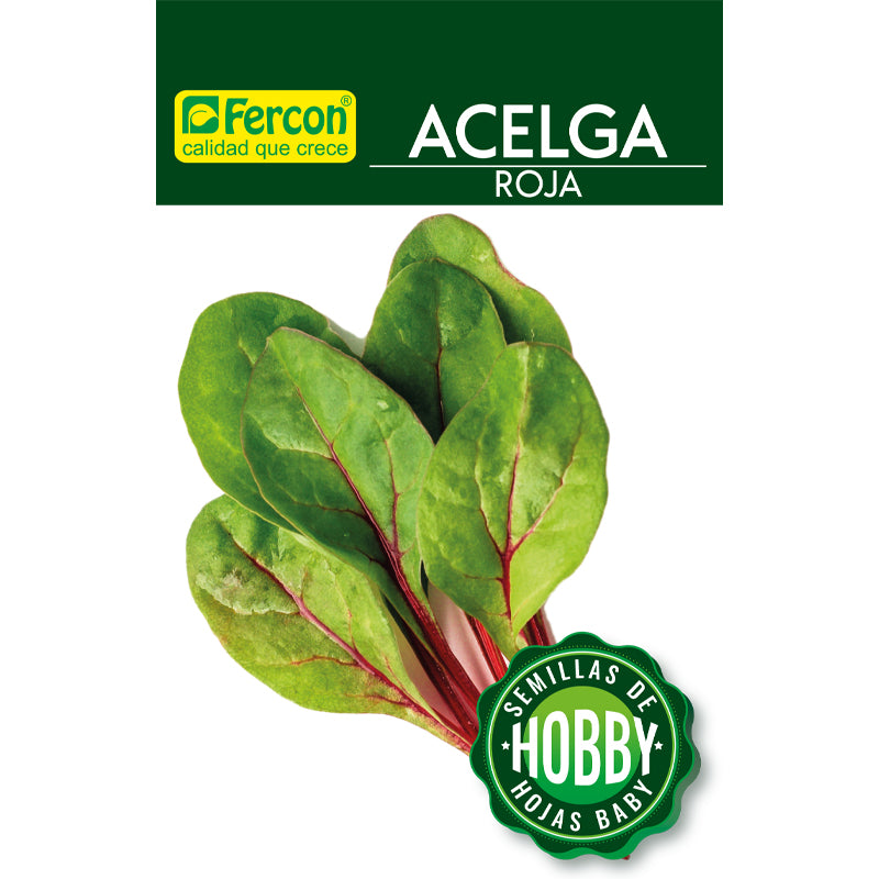 ACELGA ROJA SOBRE