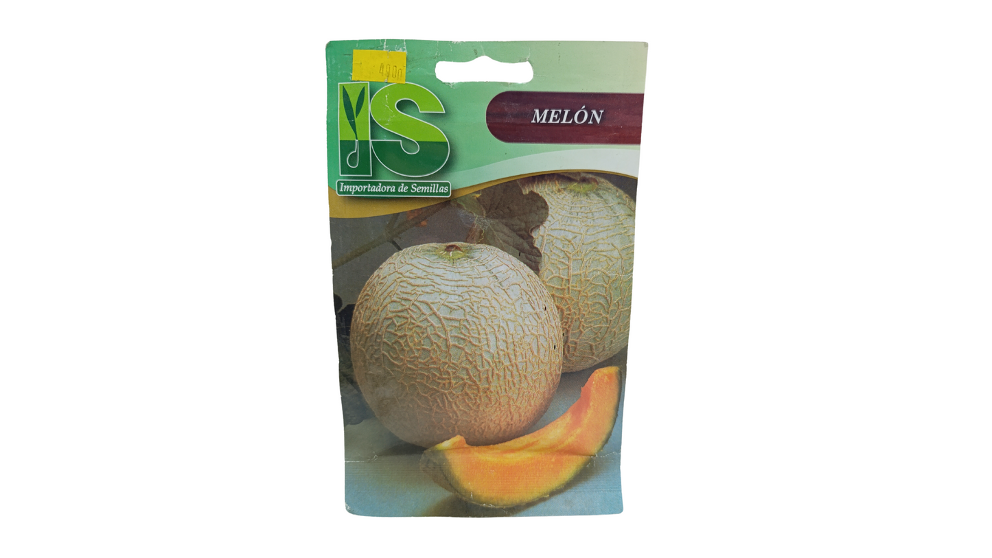 MELON HALES BEEST JUMBO IS 5GR