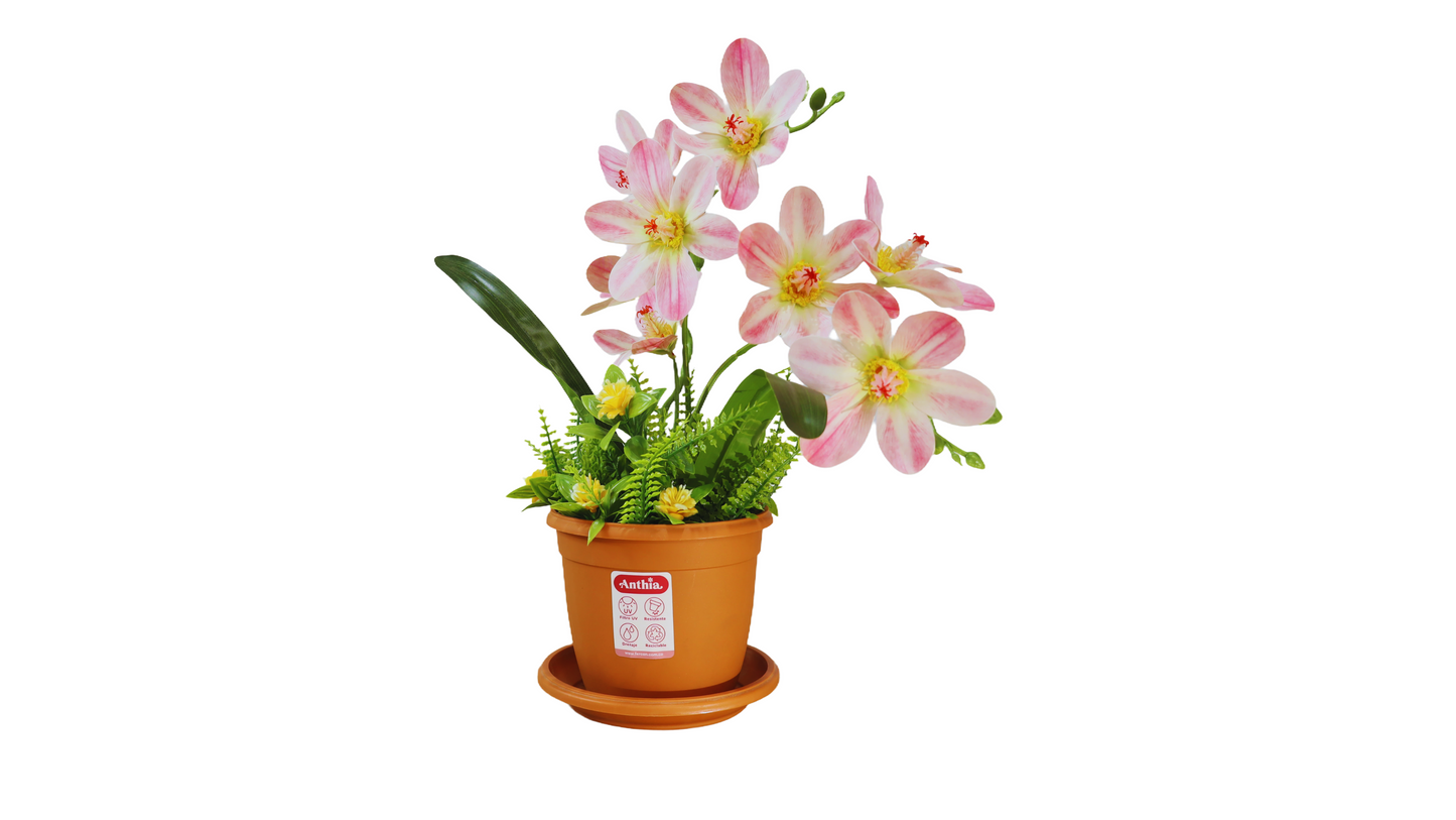 MACETA GENOVA 14 CM + PLATO