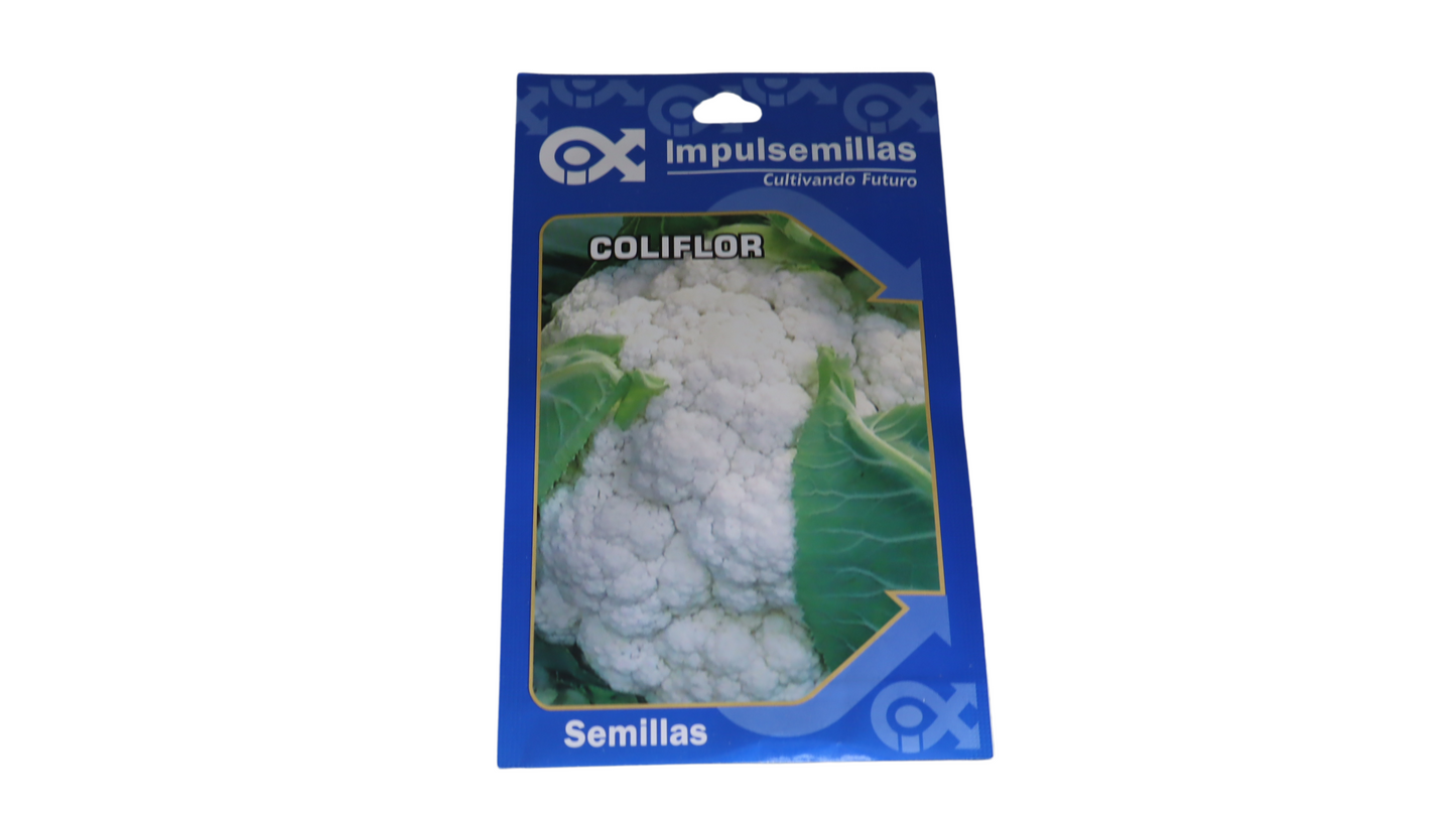 COLIFLOR SNOW BALL IMPULSEMILLAS