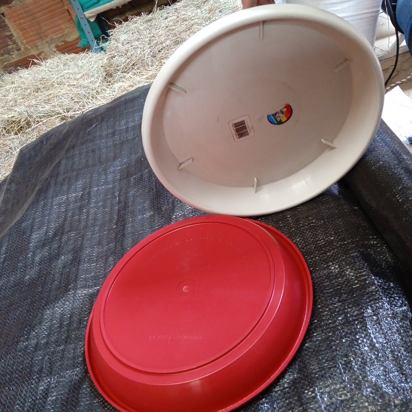 PLATO MATERA N 280 RDN