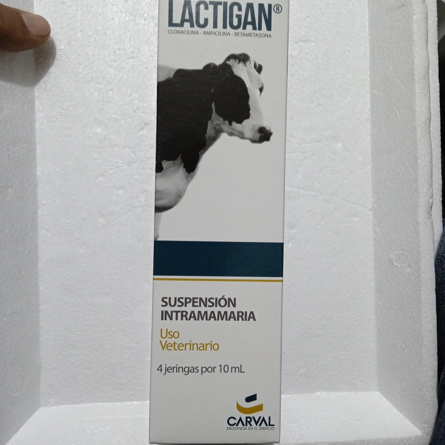 LACTIGAN 10ML STILLEINHEIT