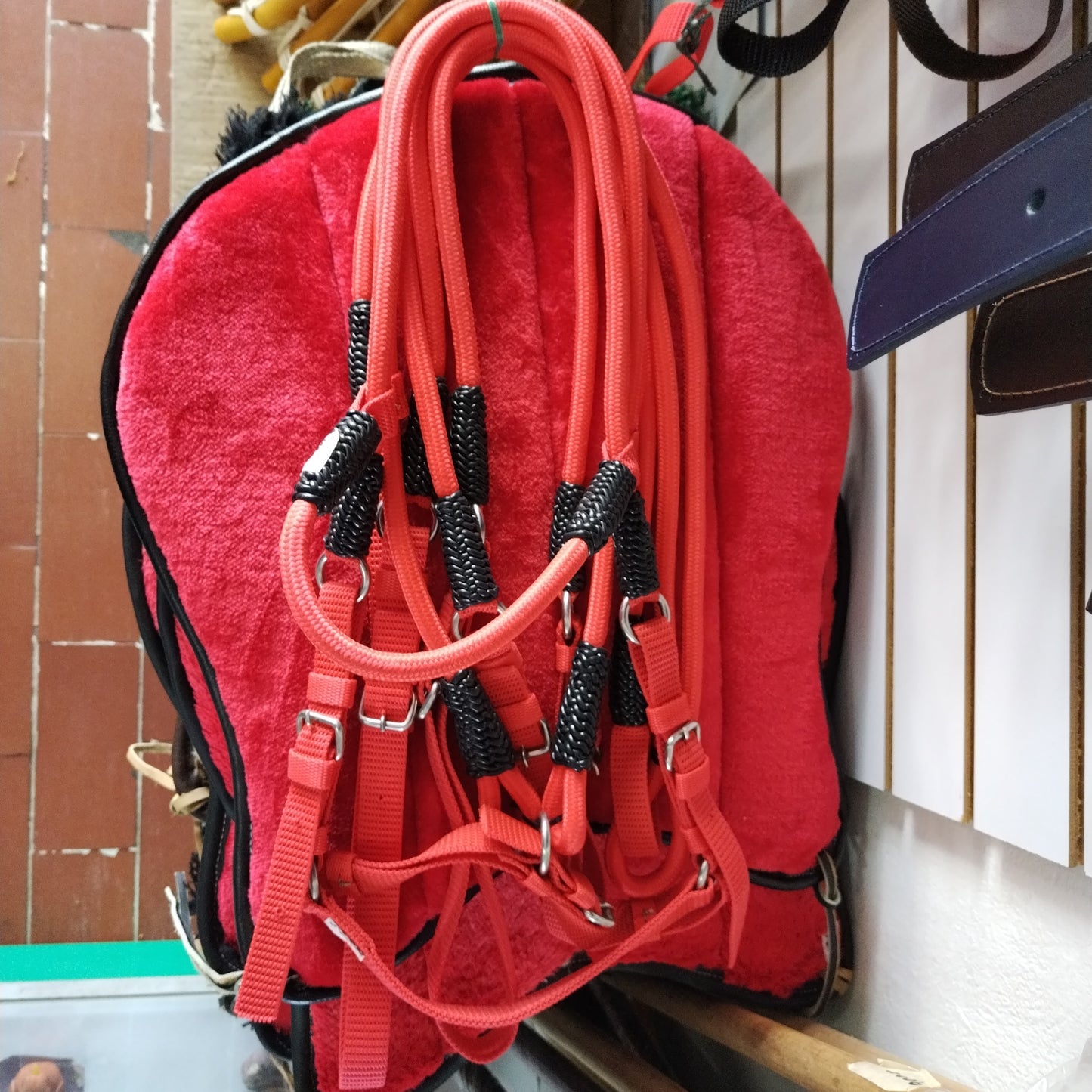 APERO DE CABEZA ROJO