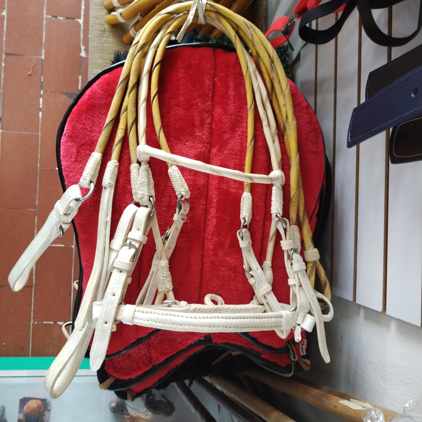 APERO DE CABEZA REJO FINO