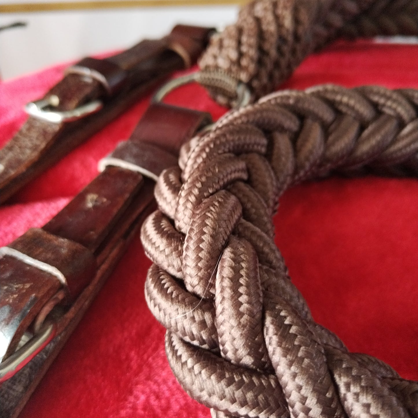 Rienda trenzada tipo correa (café)