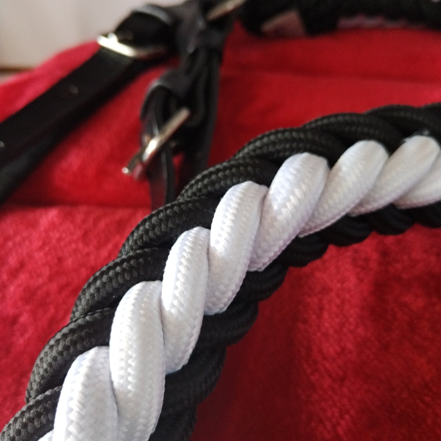 Rienda trenzada tipo correa (blanco con negro)
