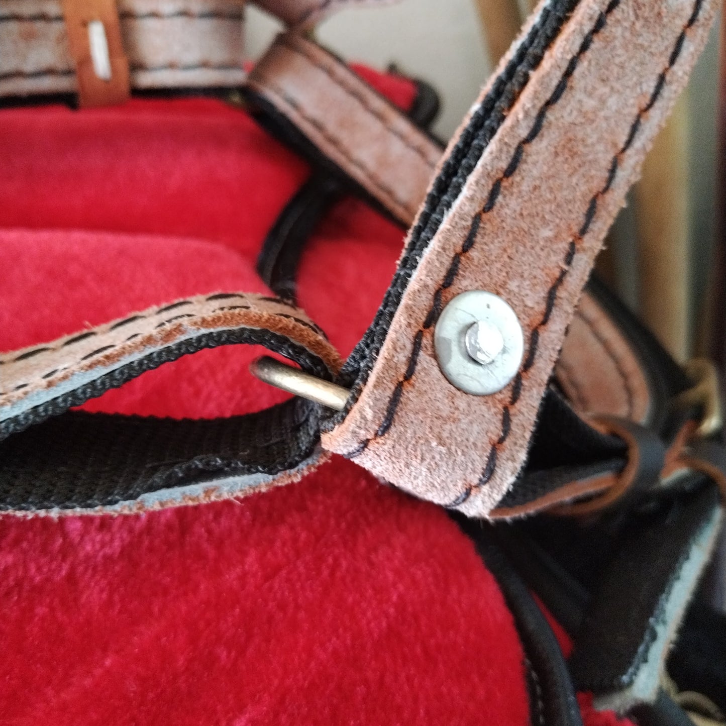 Jaquima cuero (percherones)