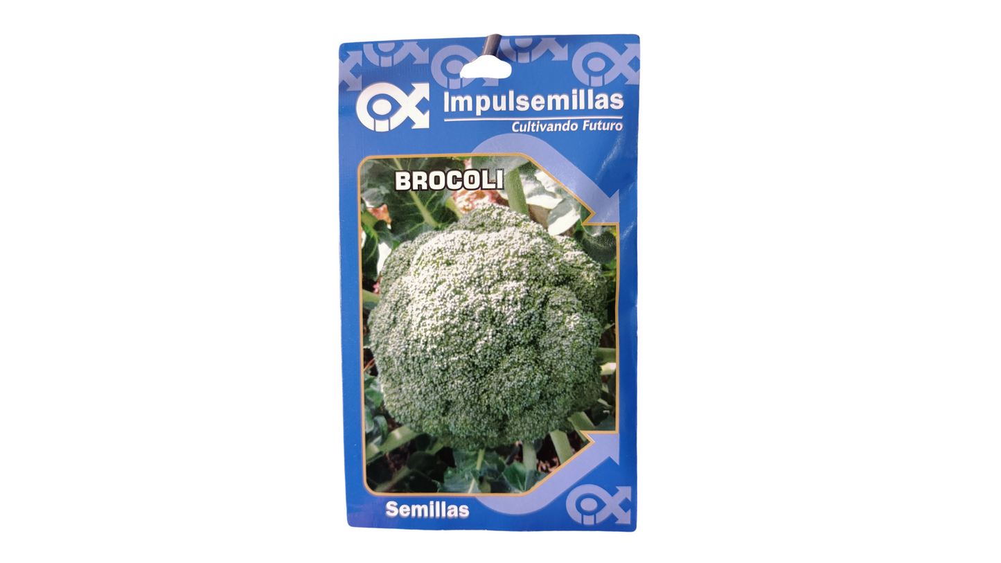 BROCOLI CALABRESE IMPULSEMILLAS