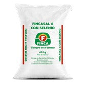 FINCA SAL 6 MIT SELEN