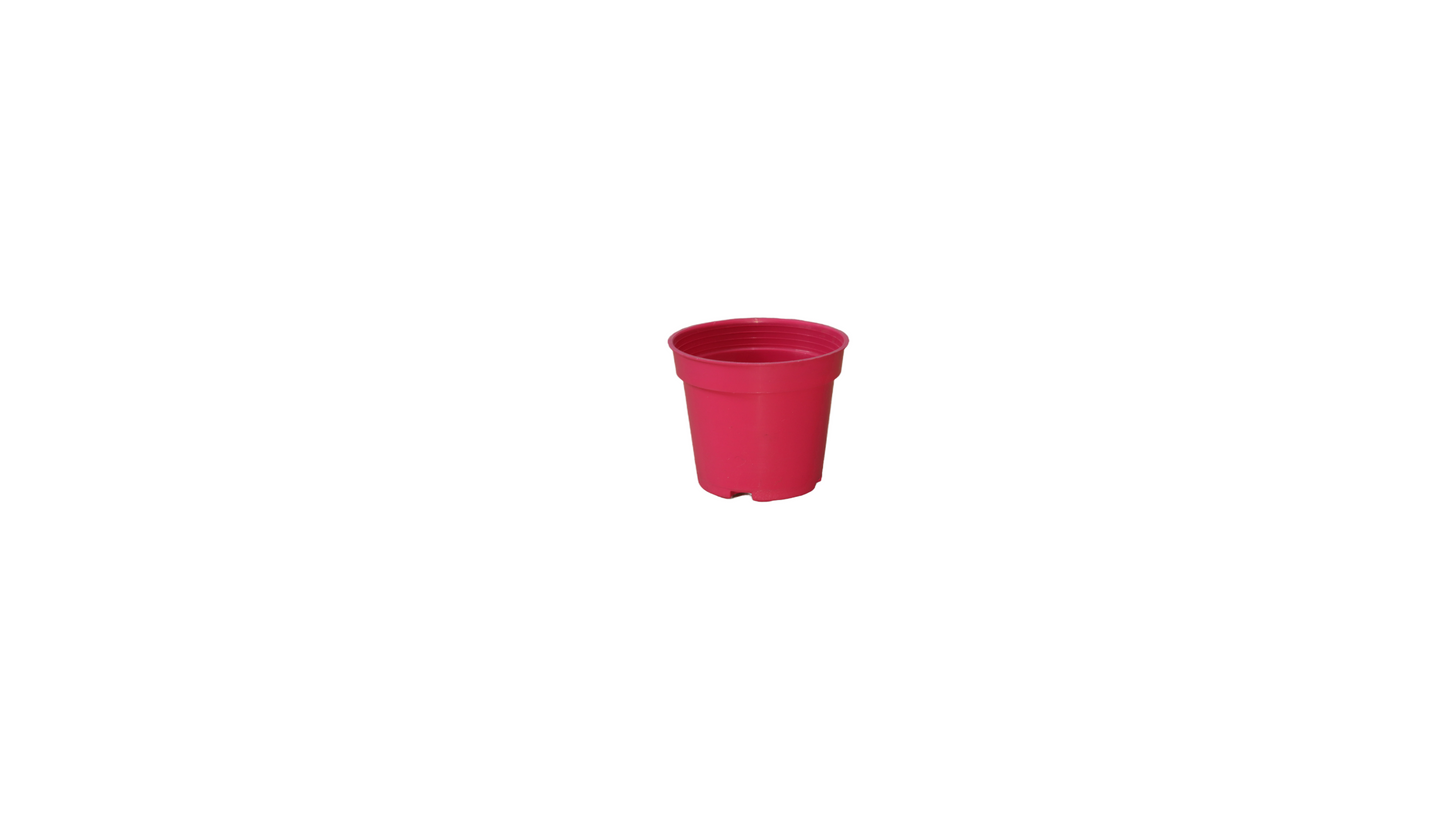 MACETA VIVERO 6