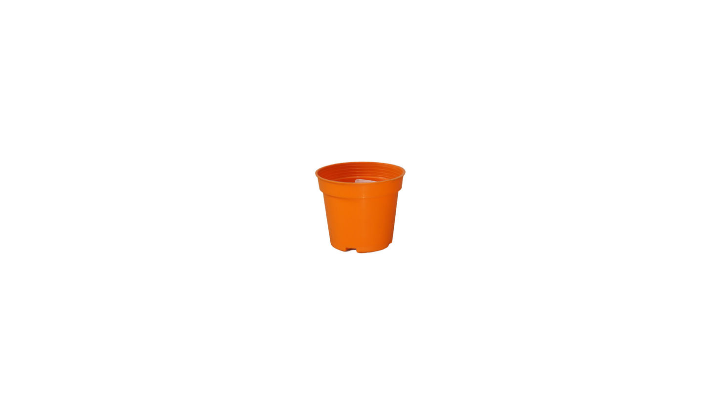 MACETA VIVERO 6
