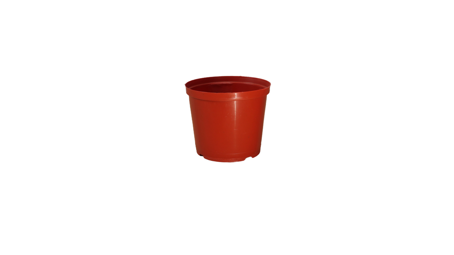MATERO P12 COLORES 12812 MARUPLAS