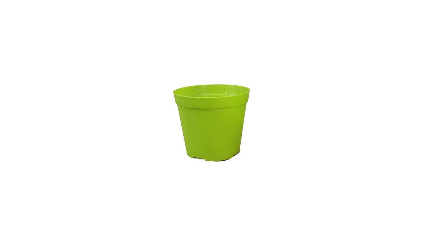 MATERO P12 COLORES 12812 MARUPLAS