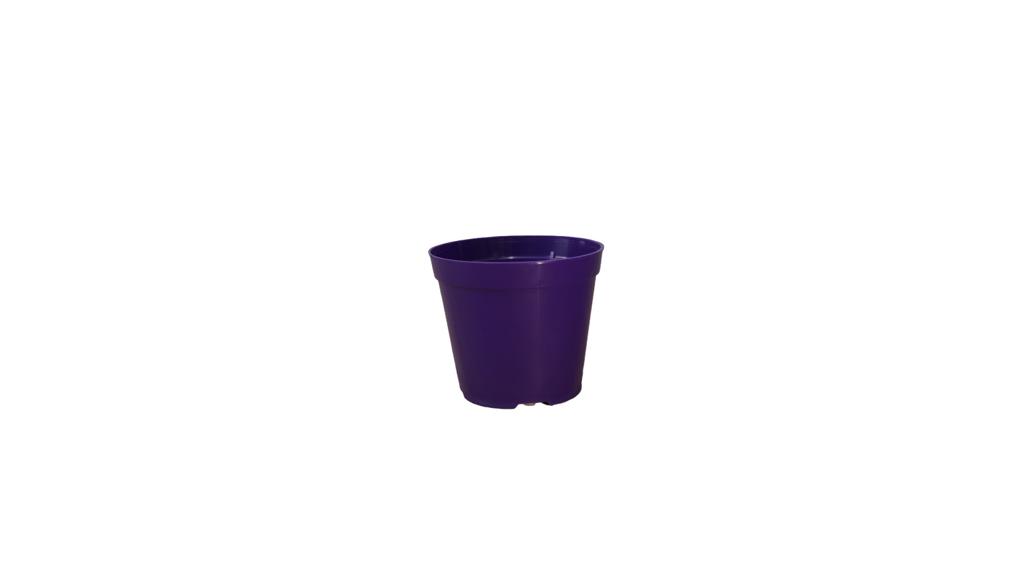 MATERO P12 COLORES 12812 MARUPLAS