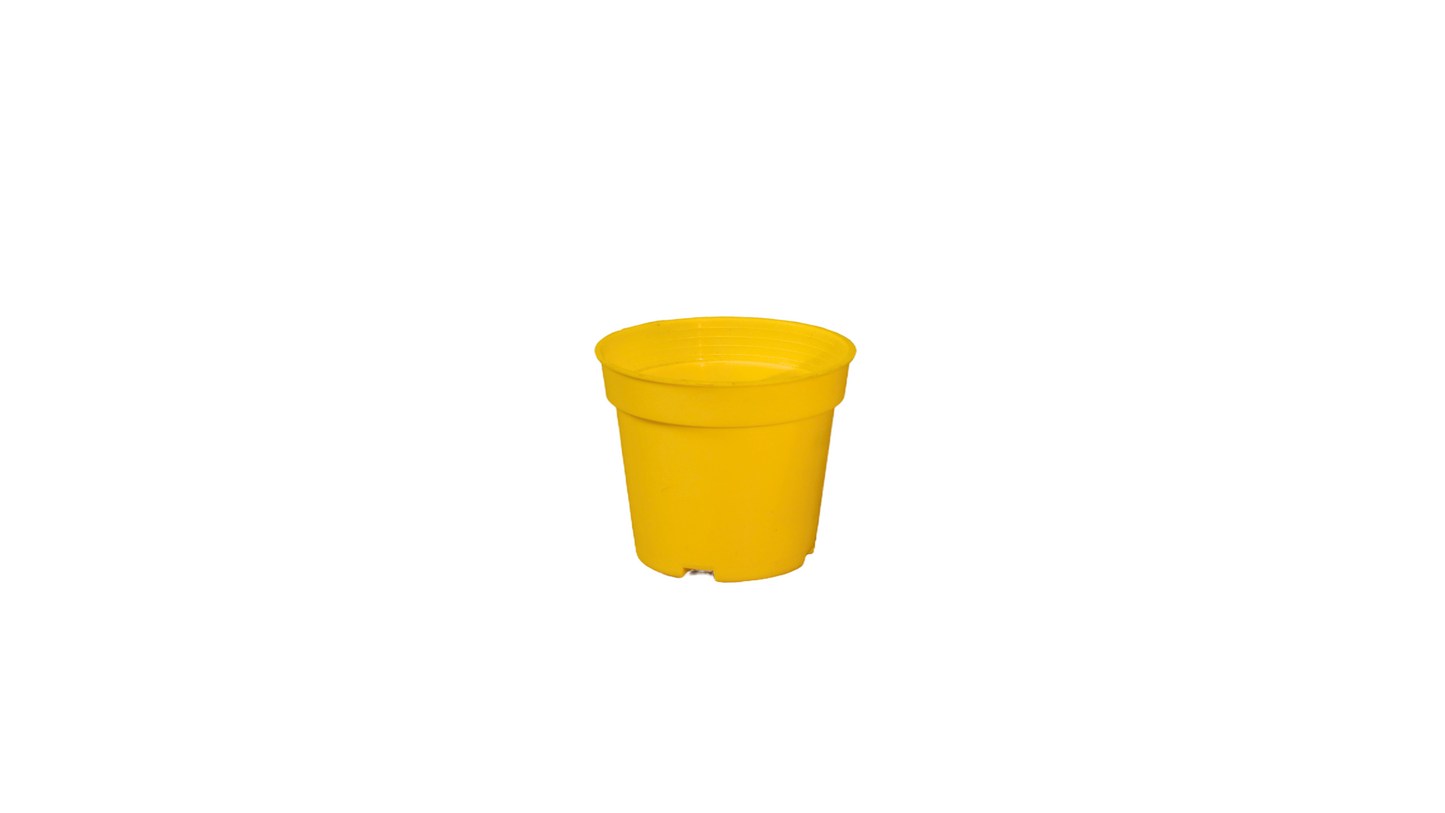 MATERO P12 COLORES 12812 MARUPLAS