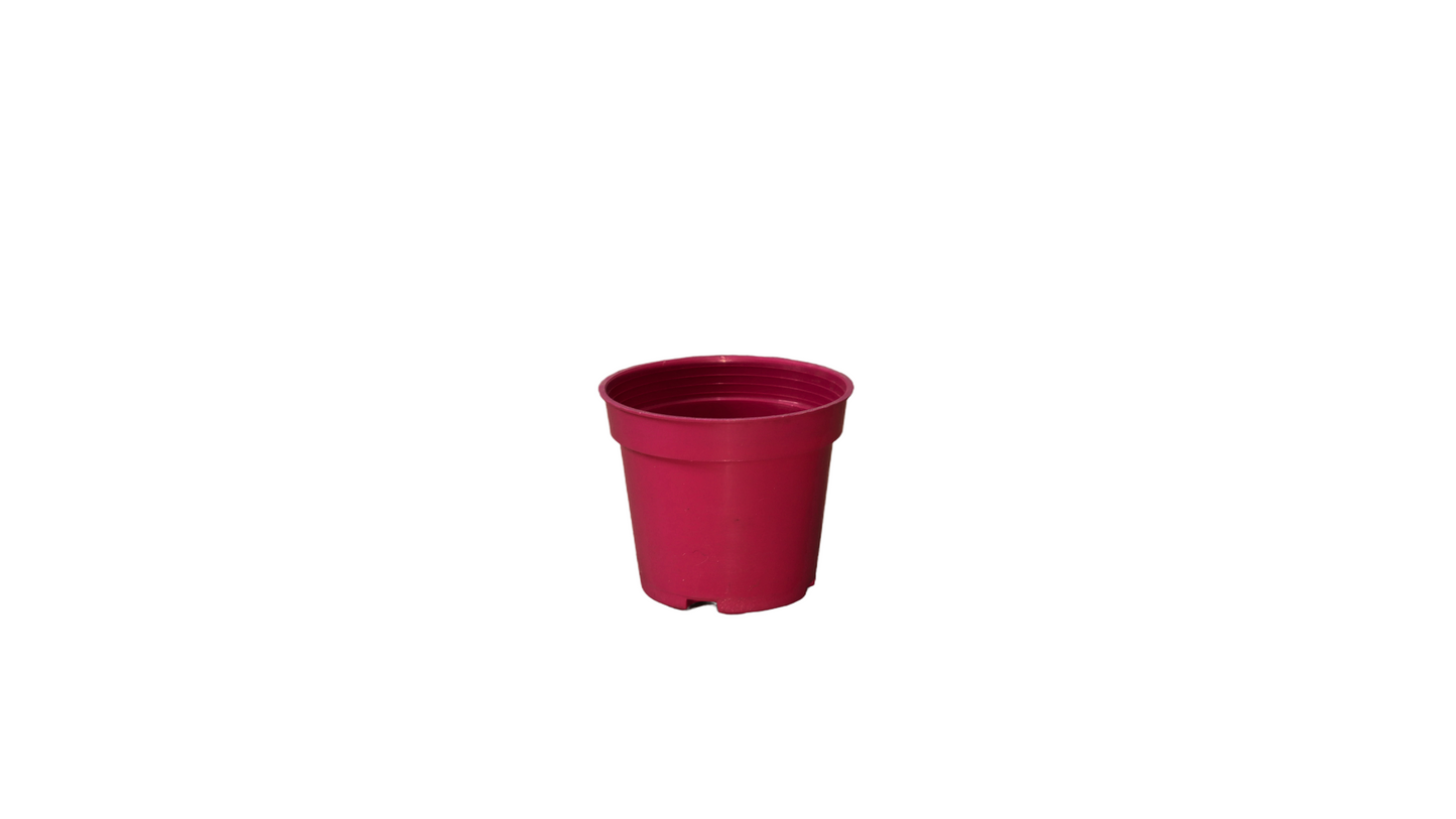 MATERO P12 COLORES 12812 MARUPLAS