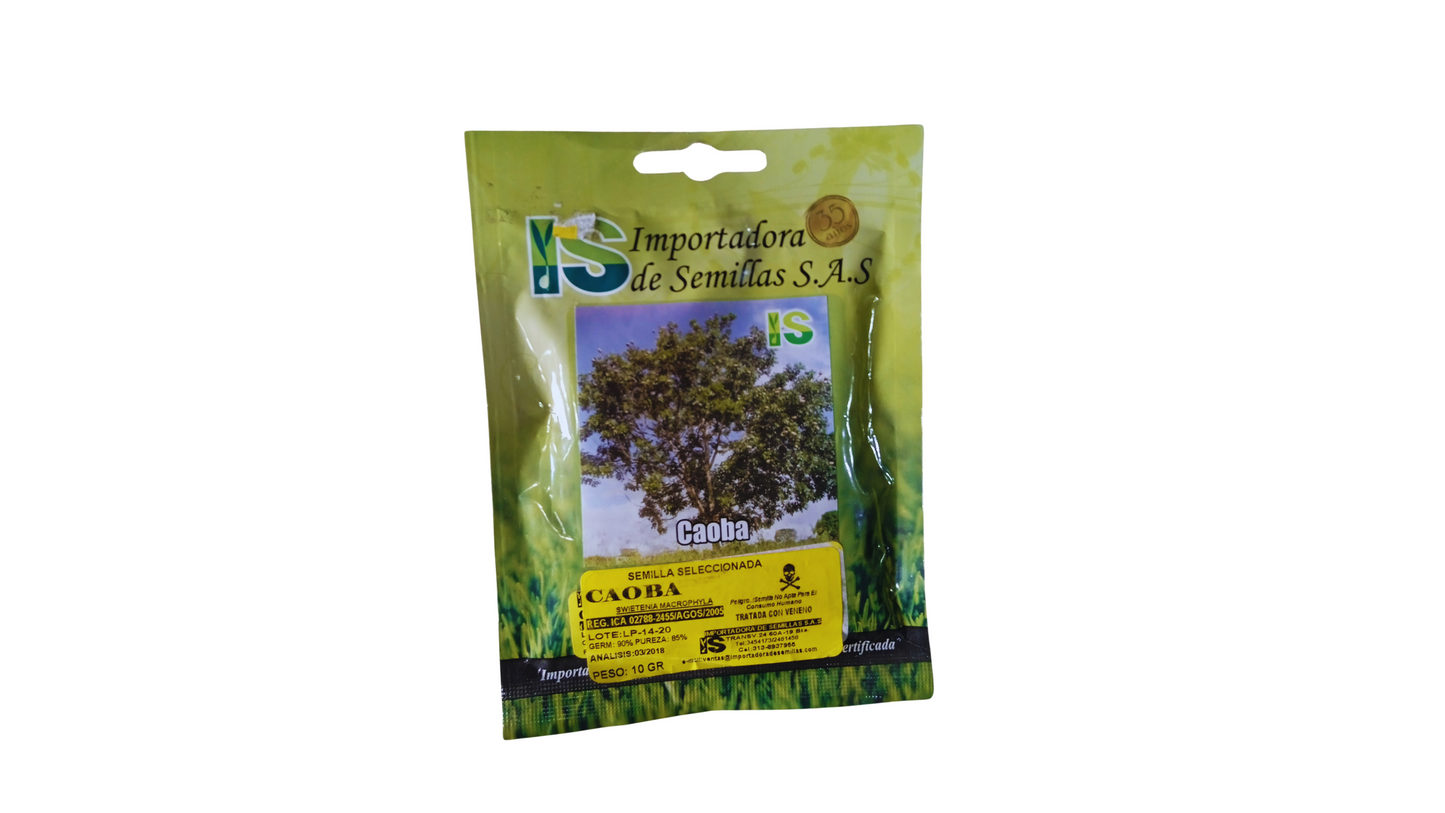 Caoba 10GR