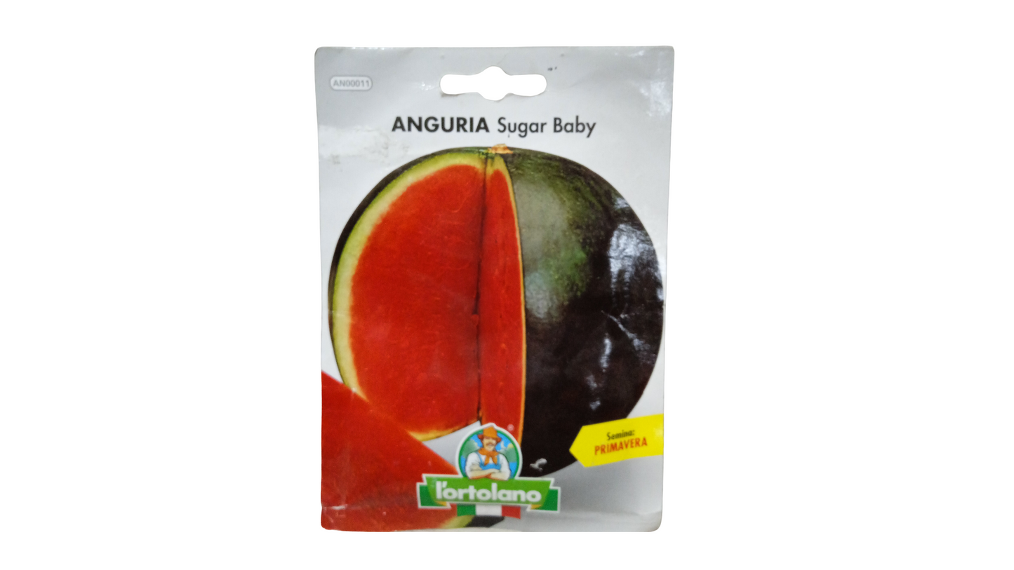 ANGURIA SUGAR BABY