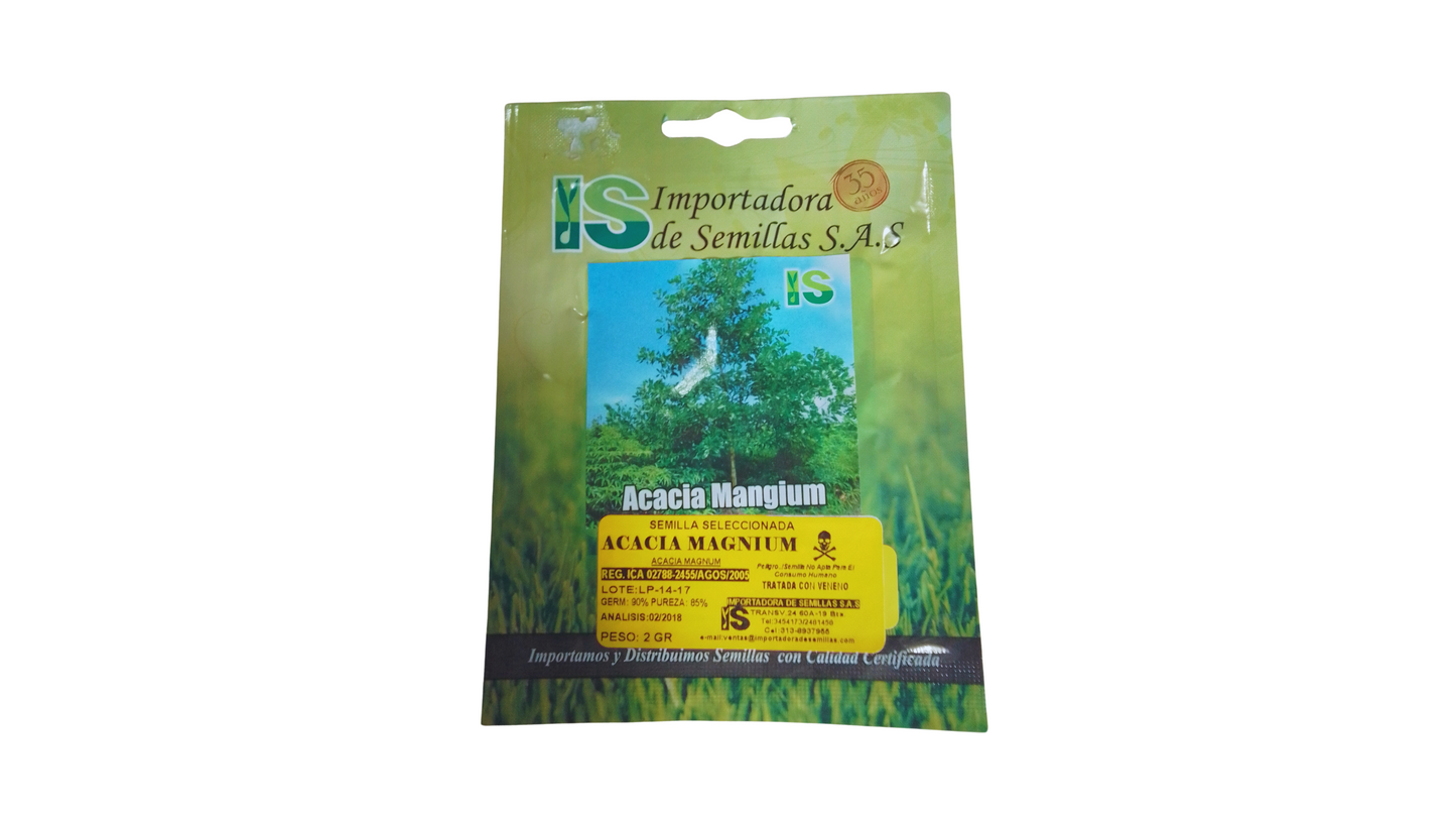 ACACIA MANGIUM 2 GR