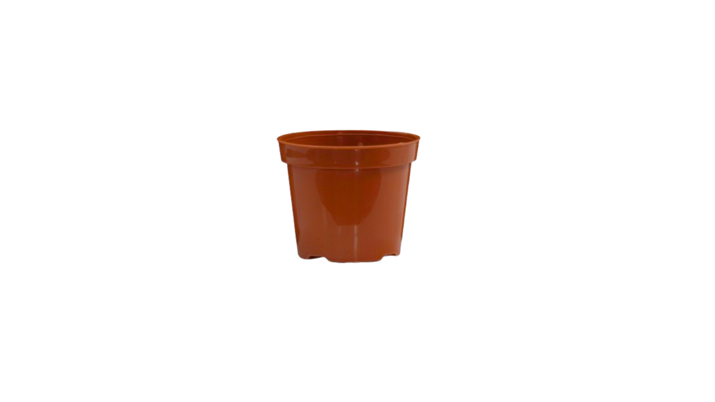 MACETA VIVERO # 10