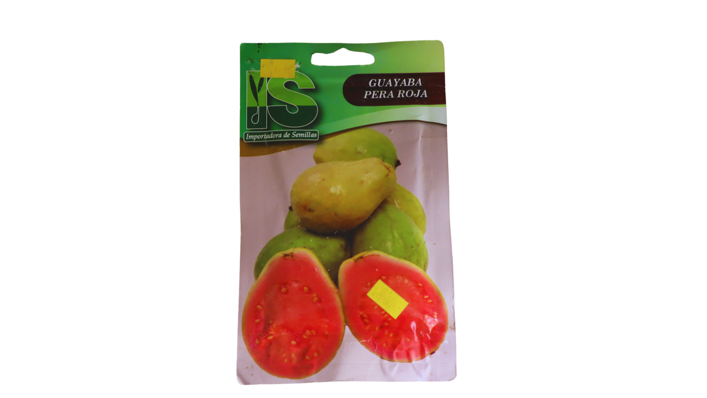 GUAYABA JARDITEC