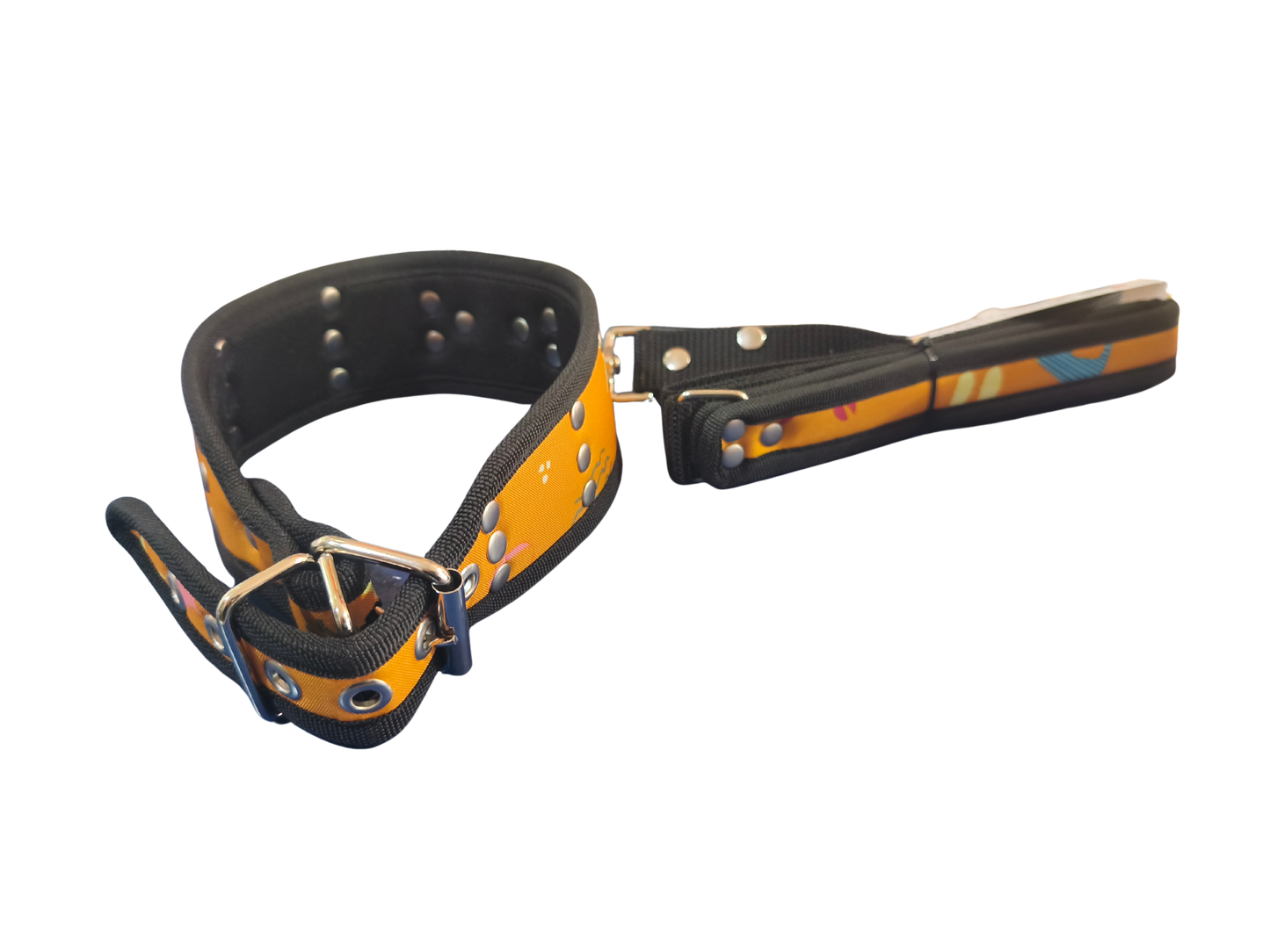 COLLAR DELUXE + CORREA