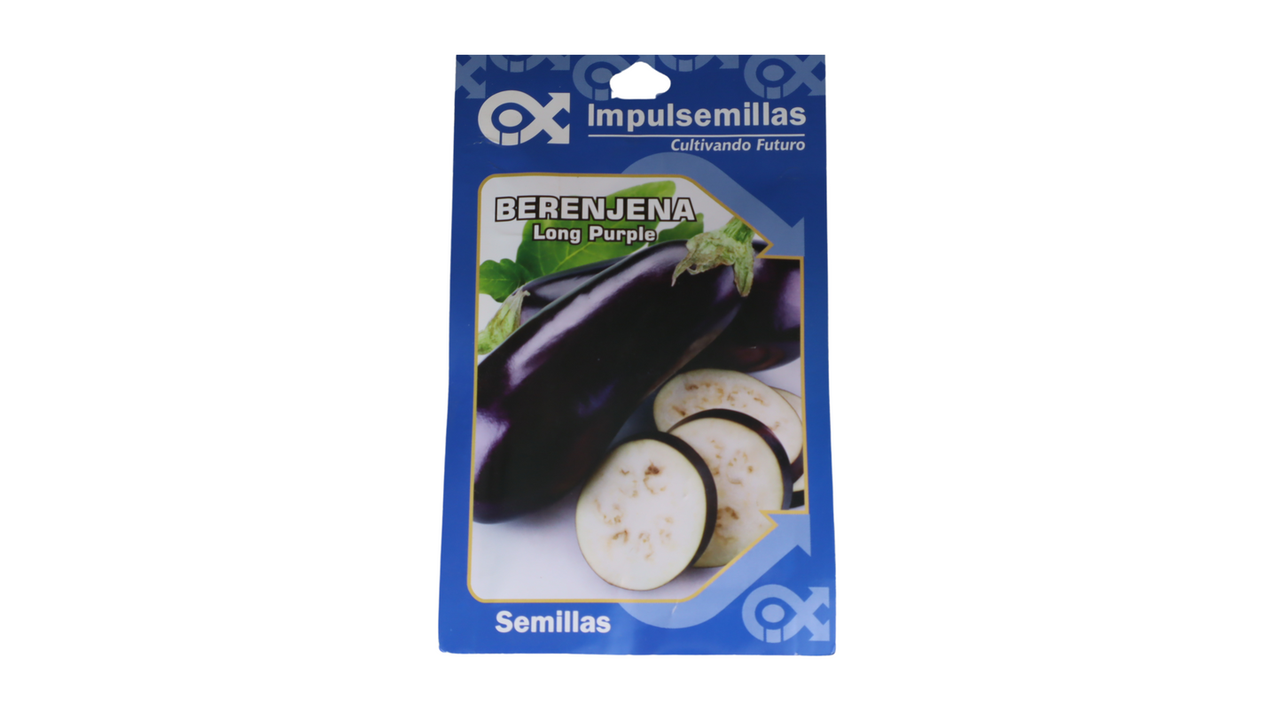 LANGE LILA AUBERGINE (LÄNGER) IMPULS