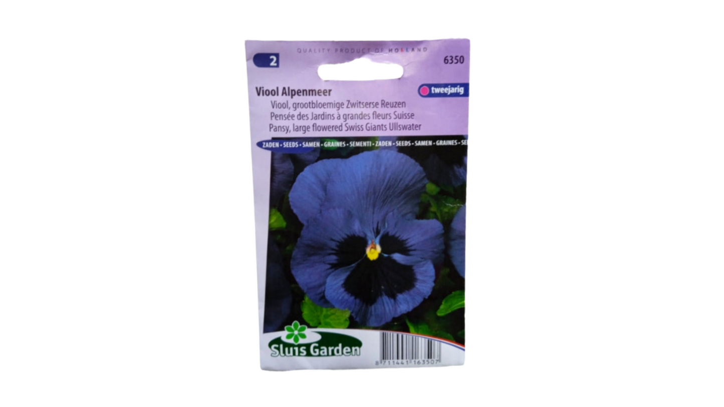 PENSAMIENTO GIGANTE AZUL SUIZO