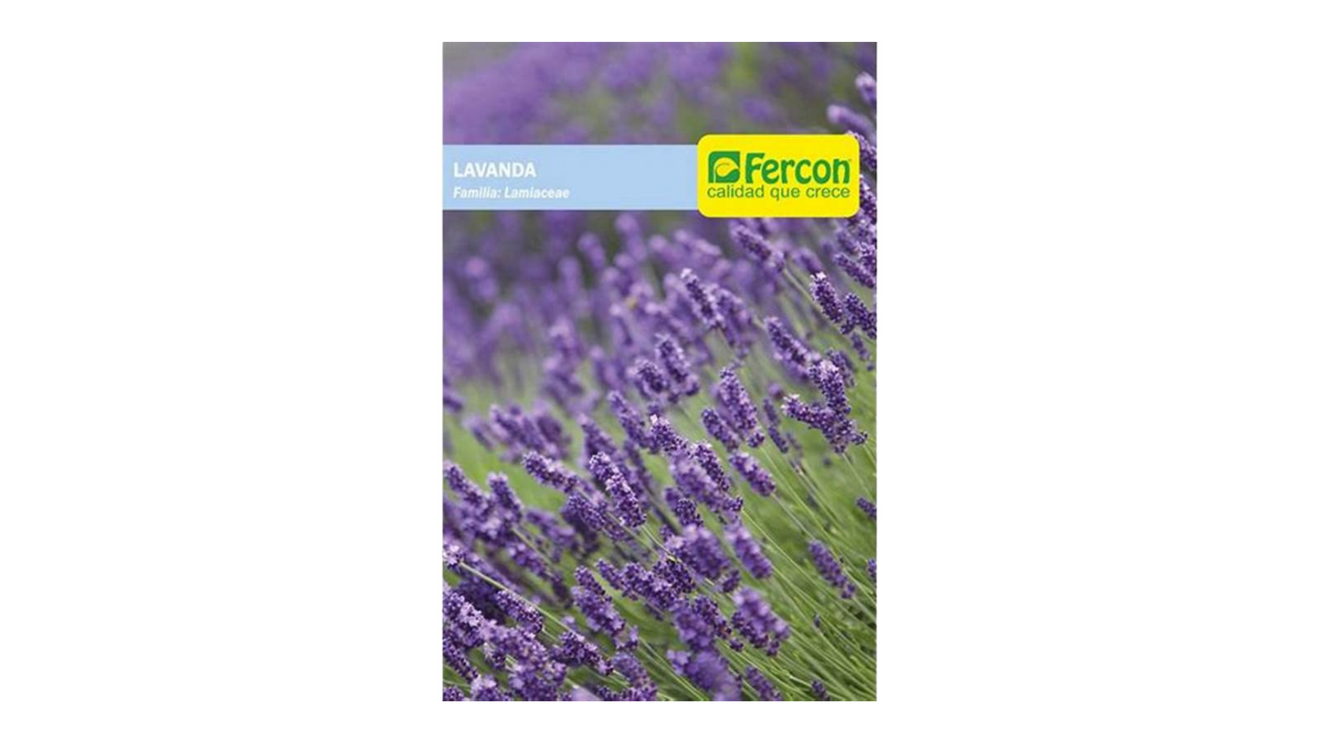 LAVANDA 2035