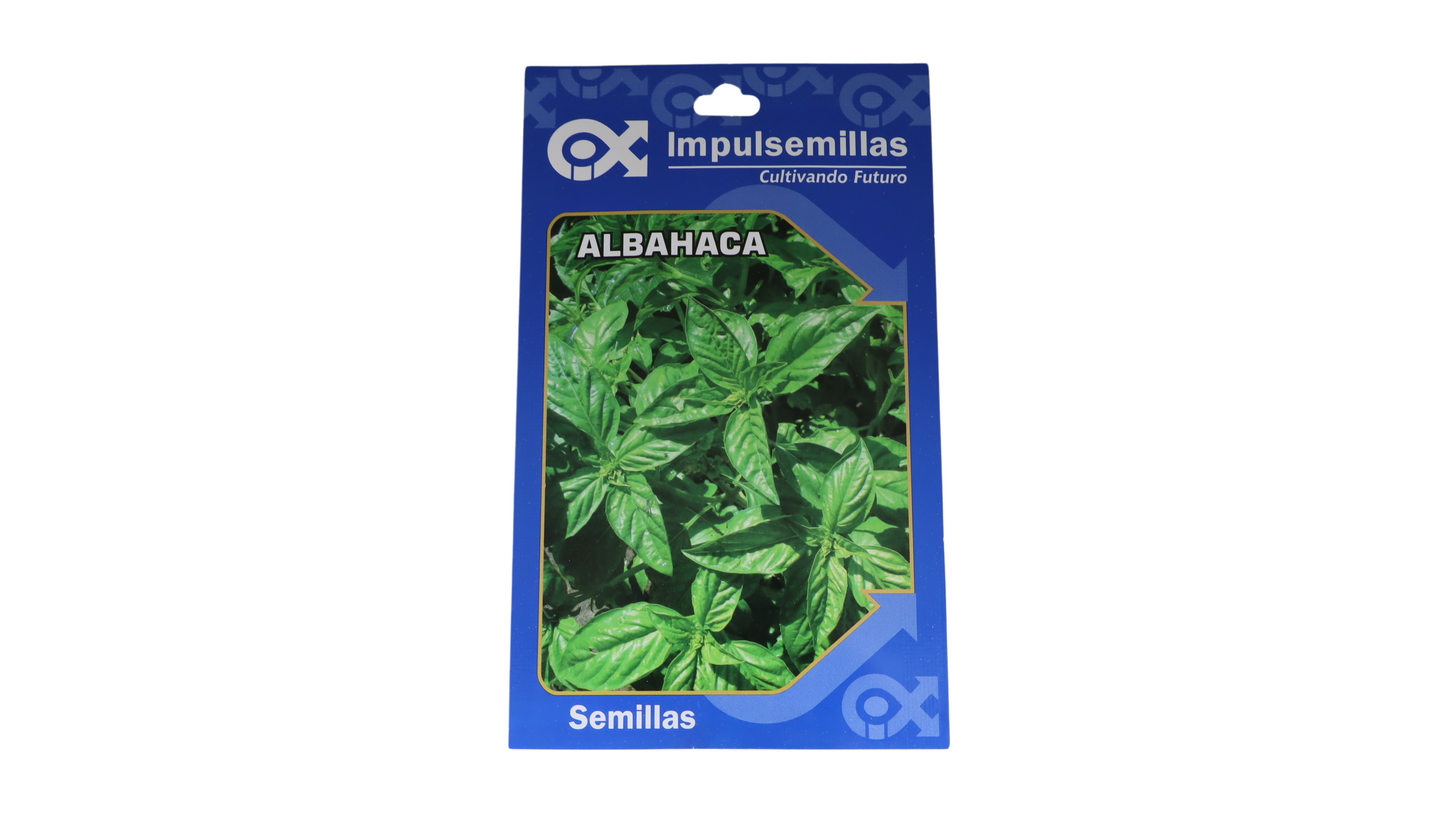 ALBAHACA GRANDE VERDE IMPULSEMILLAS