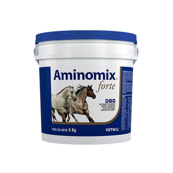 AMINOMIX FORTE * 2,5 KG