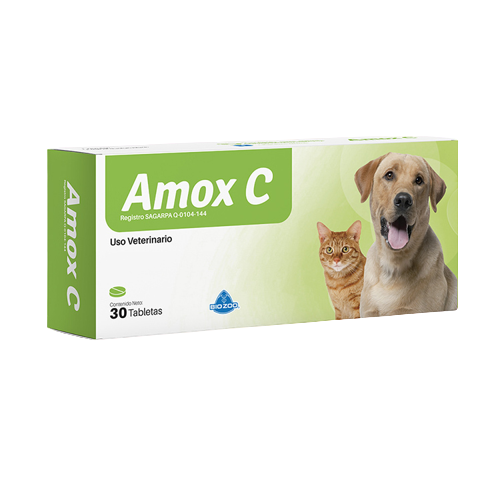 AMOX C X SOBRE X 6 PASTILLAS (AMOXICILINA)