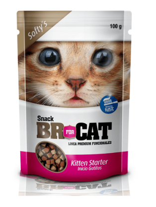 BR FOR CAT GALLETA KITTEN STARTER GATICOS 100 GR