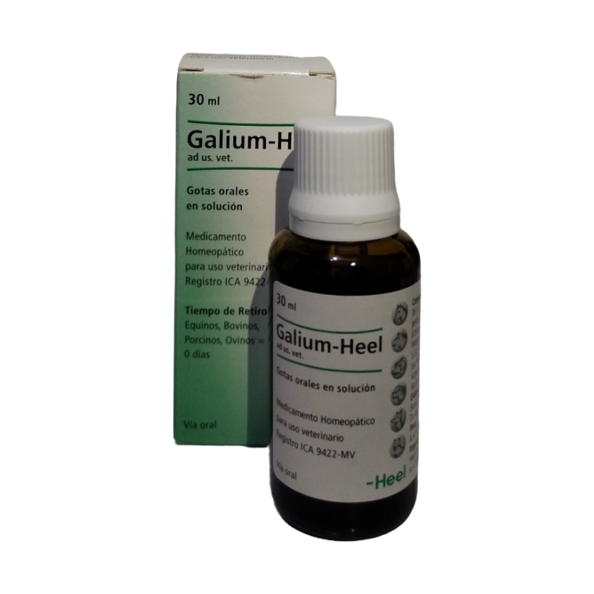 Galium-Tropfer zum Einnehmen, 30 ml