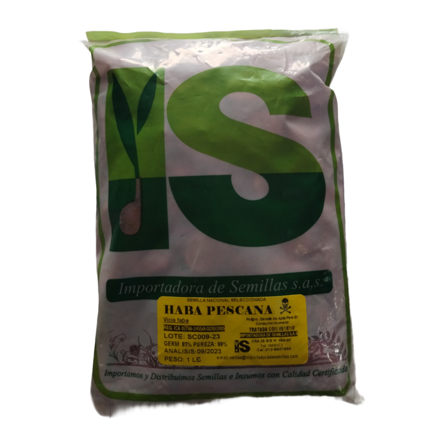 SEMILLA HABA NACIONAL X LB