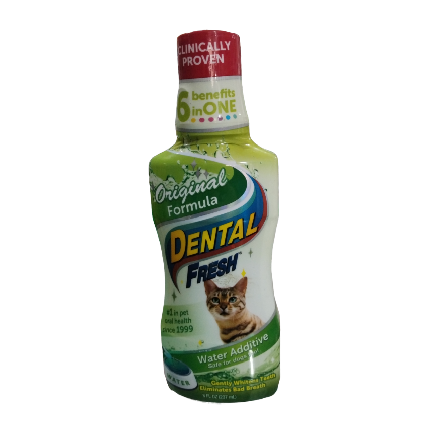 DENTAL FRES ORIG CAT 80Z