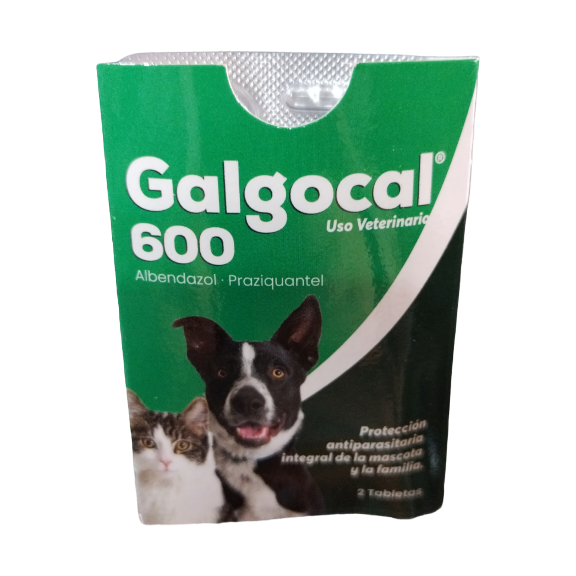 GALGOCAL 600 X 2 TABLETTEN