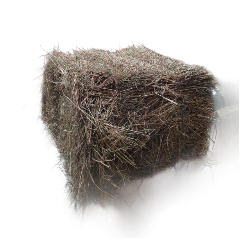 FORRAJE PANGOLA (HENO)