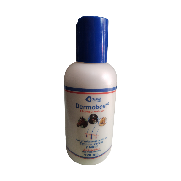 DERMOBEST SHAMPOO MEDICADO (CLORHERIXIDINA)