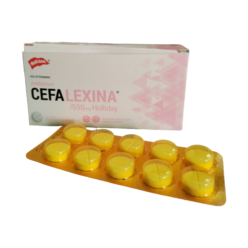 CEFALEXINA X 500 MG HOLLIDAY