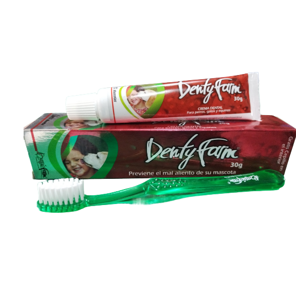 DENTYFARM 30 GR