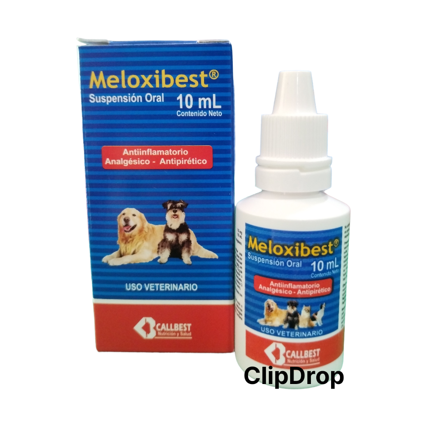 MELOXIBEST 10 ML