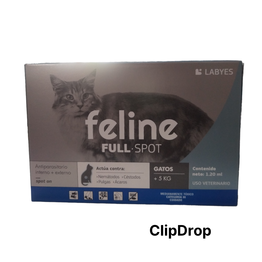 FELINE FULL SPOT