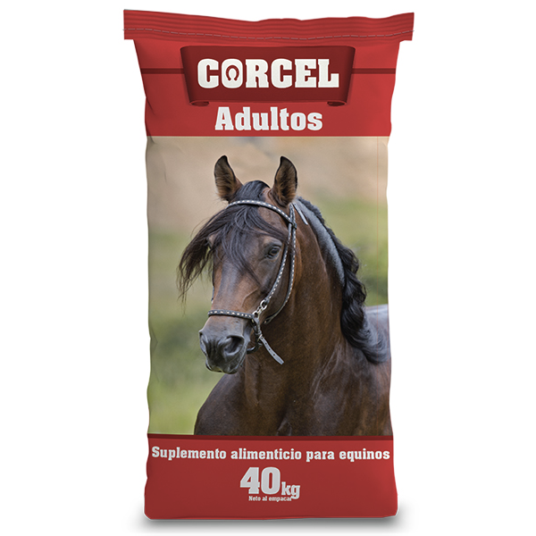 CORCEL ADULTOS 40 KL