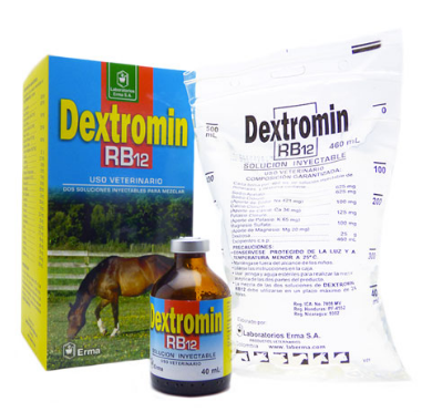 DEXTROMIN RB12 X 500 ML ERMA