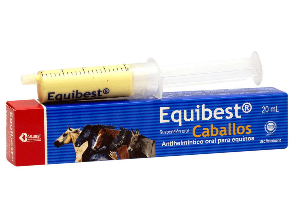 EQUIBEST JERINGA X 20 ML