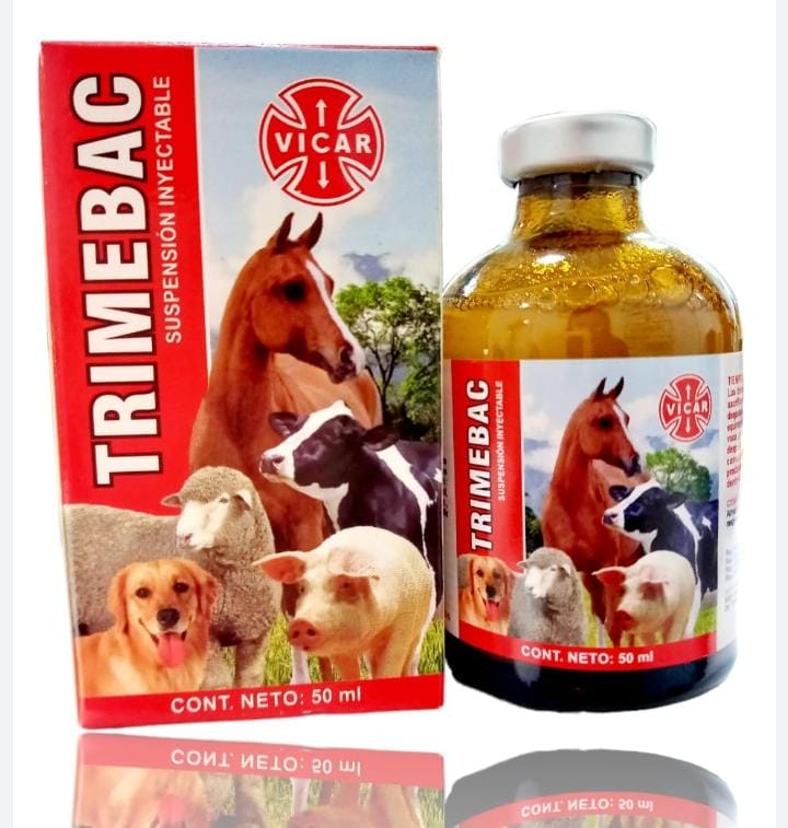 TRIMEBAC INY X 50 ML (SULFA TRIMETROPIN)