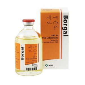 BORGAL X 100 ML