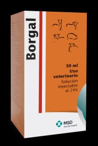 BORGAL 24% X 50 ML