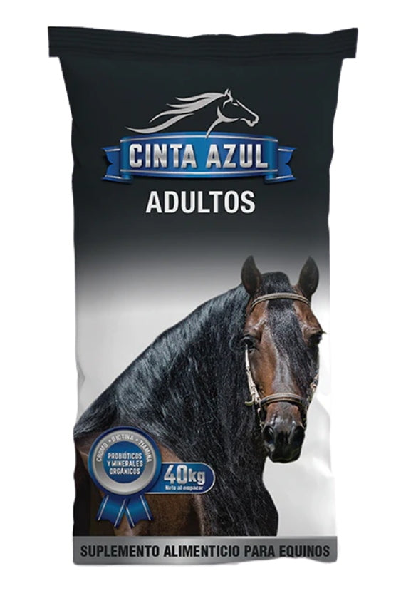 CINTA AZUL ADULTO X 40 (FINCA CABALLOS)